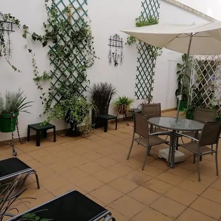 Aparment In Historical & Commercial Center 5minutes Walking To The Alcazar *